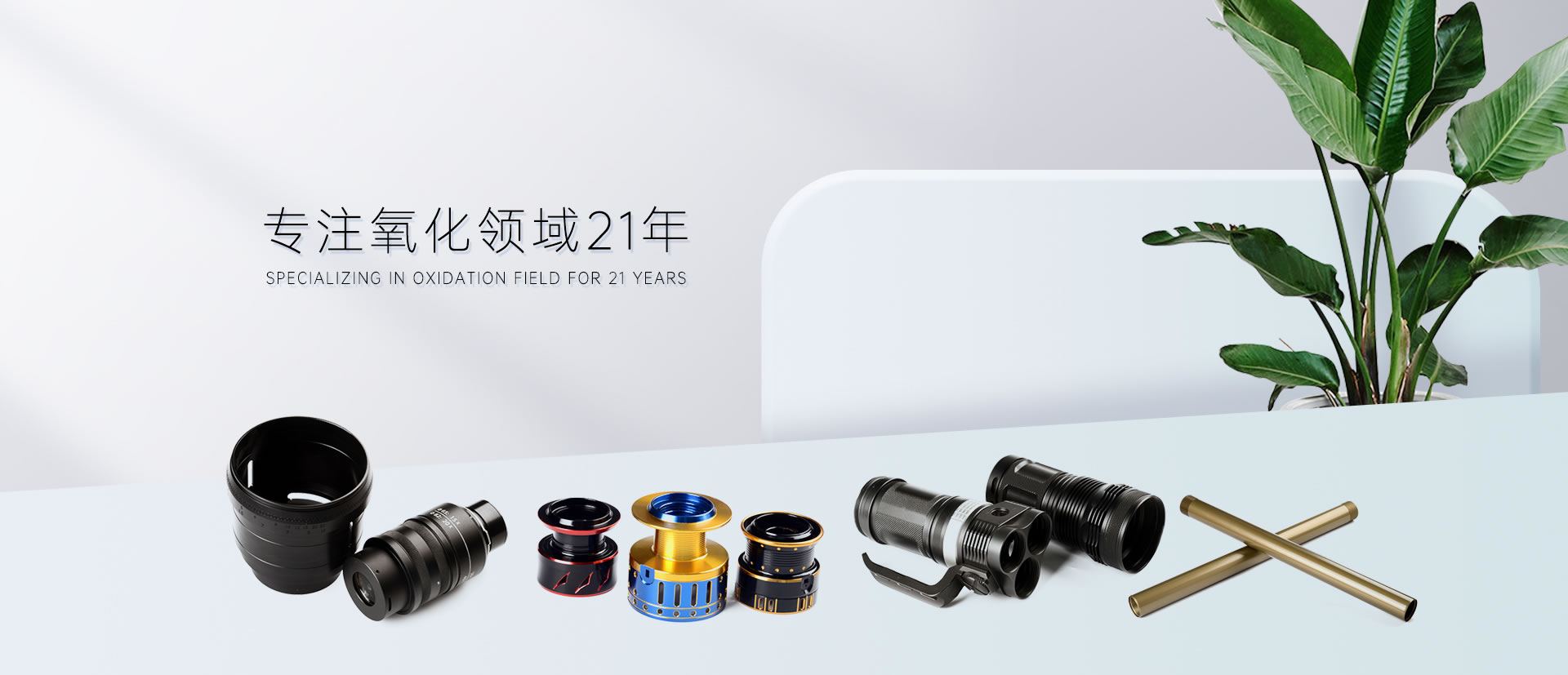蕪湖市繁昌區(qū)領(lǐng)導(dǎo)來集團公司參觀考察